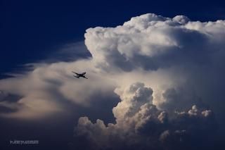 ルーク・オザワ｜nine museum