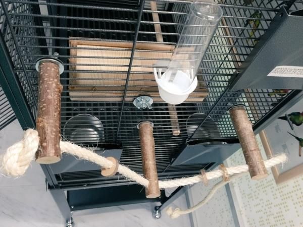 止まり木＆ロープパーチ | 楽しい遊び場セット - とりきち横丁