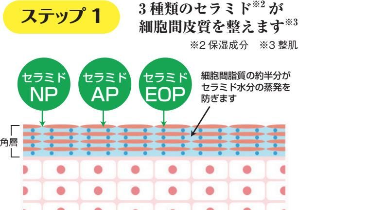 エクストラ ダブルモイストローション - PlusRay（プラスレイ）