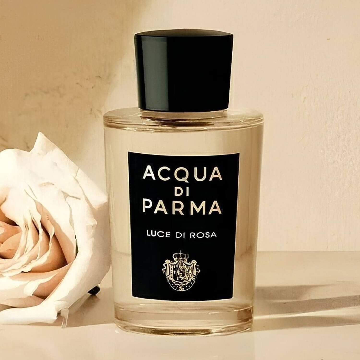 Acqua di Parma Luce di Rosa for $17.95 per month | Scentbird