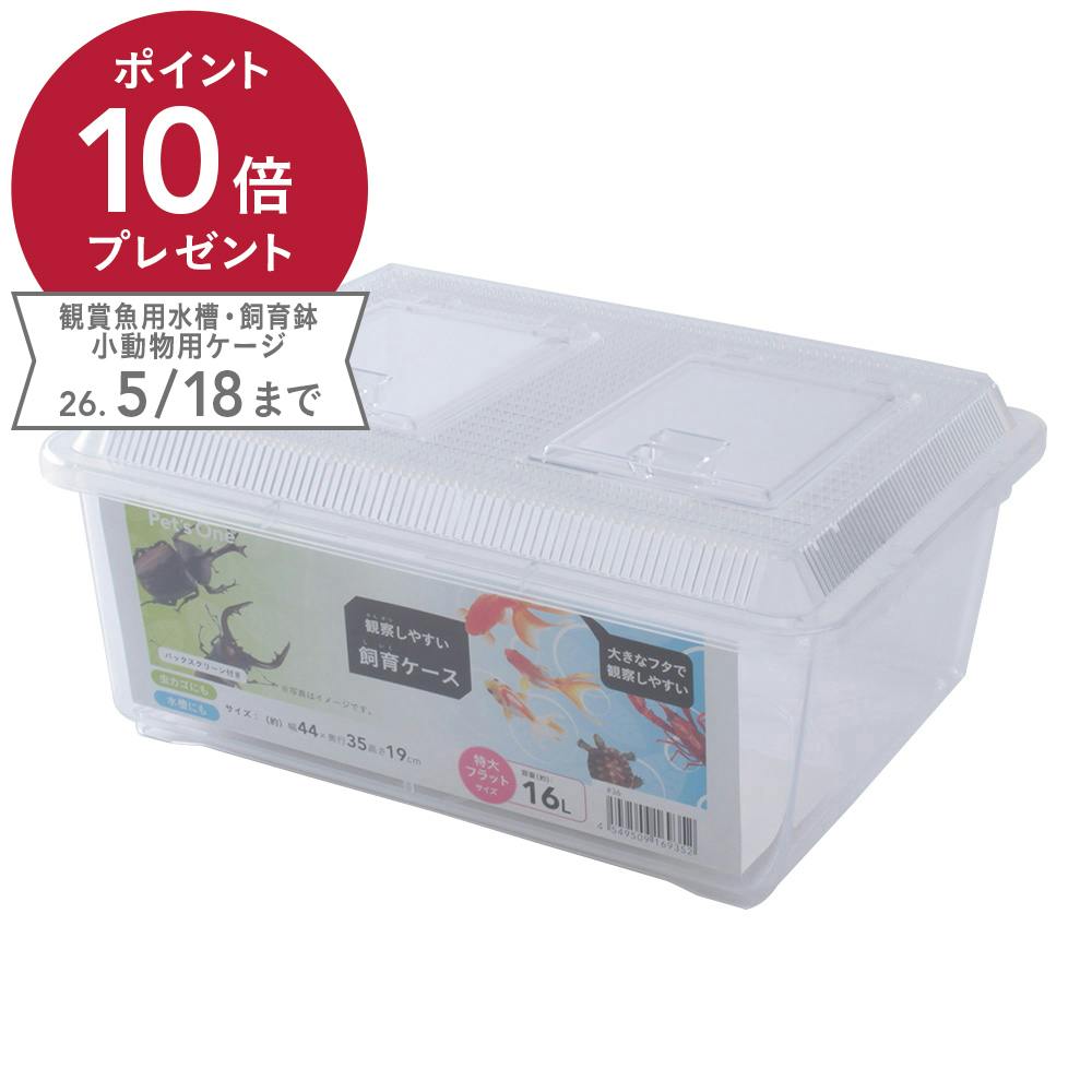 Pet'sOne 観察しやすい飼育ケース 特大フラット | 昆虫用品・昆虫