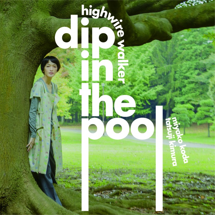 dip in the pool、デビュー30周年の10thアルバムをハイレゾ配信 - OTOTOY