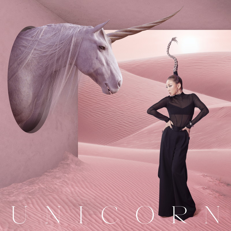 倖田來未 アクリルスタンド UNICORN B賞 会場限定 新品未開封 6月 19th