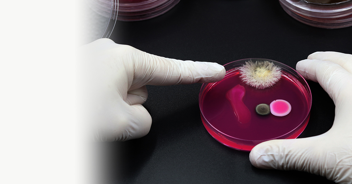 製品・サービス | 食品・環境検査分野 衛生管理関連サイト コスモ会