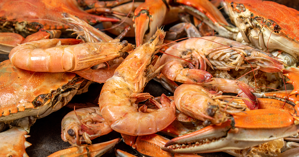 FAテストEIA 甲殻類II | 食品・環境検査分野 衛生管理関連サイト