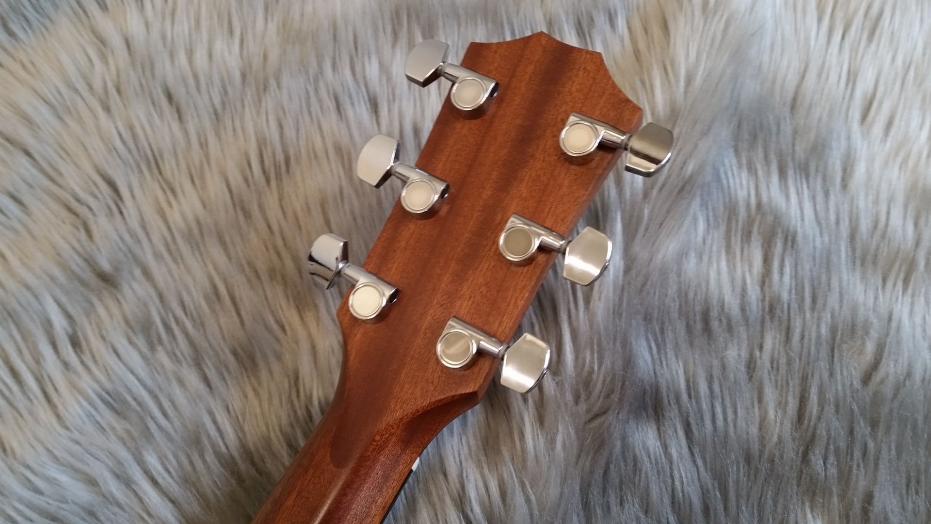 Taylor】エレアコ定番の100番台がお得に！114ce Japan Limited 2016が