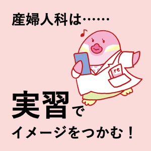 CBT・医師国家試験のためのレビューブック産婦人科2020-2021 | INFORMA