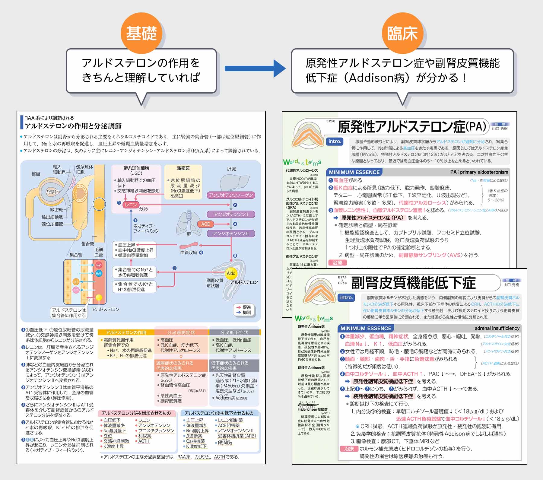 3・4年生向け〕『病気がみえる』活用法！ | INFORMA by メディックメディア