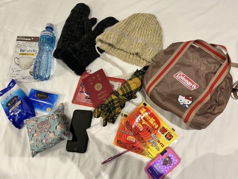 付録レビュー】ボストン型ポシェットが