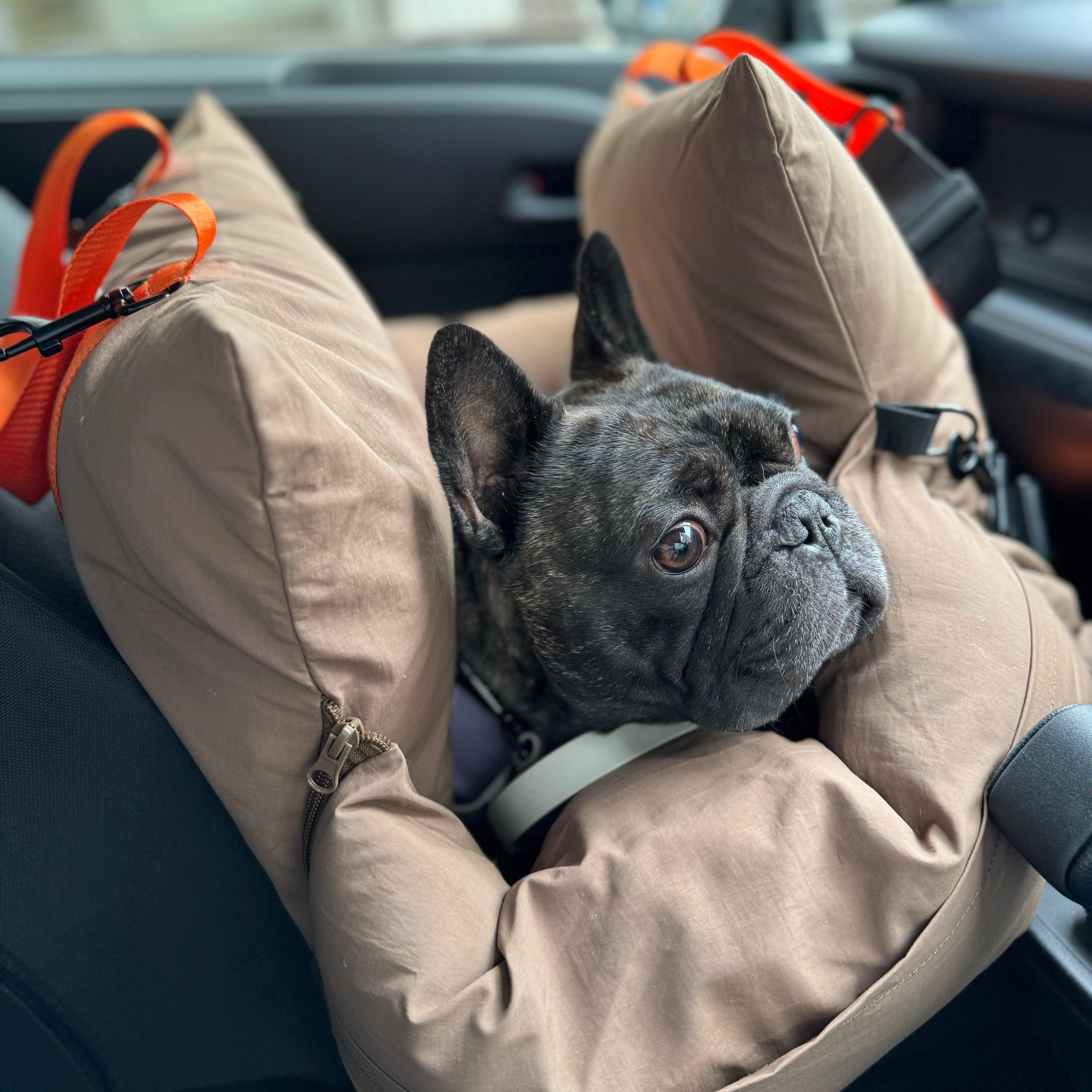 お散歩バッグ / BUCKET BAG BLACK LUXE – inunoco / いぬのこ