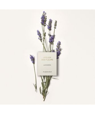 Chloé（Chloé） クロエ アトリエ デ フルール ラベンダー