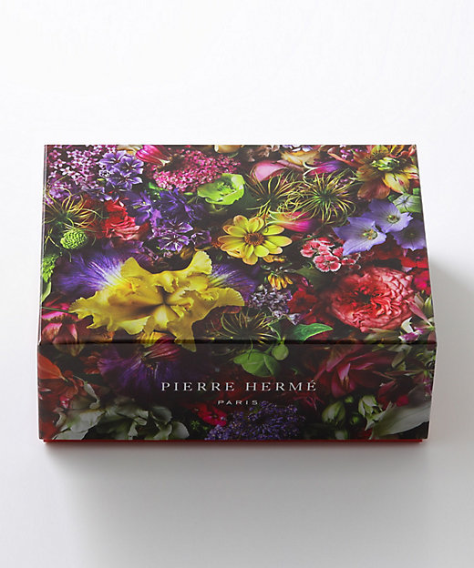 SW134 マカロン10個詰合わせ | PIERRE HERME PARIS/ピエール