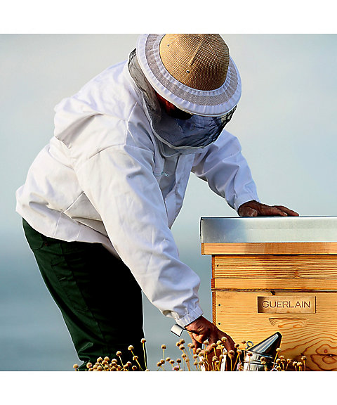 GUERLAIN（GUERLAIN） アベイユ ロイヤル アドバンスト ダブル R