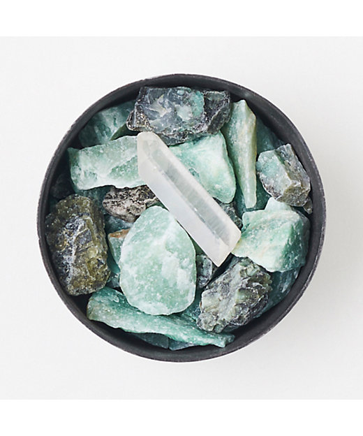 ポプリ グリーン フラット ミニ テレノア（50000586） | MAD