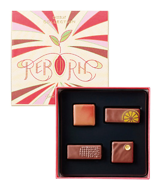 SDC0818 Yoroizuka Collection 2026