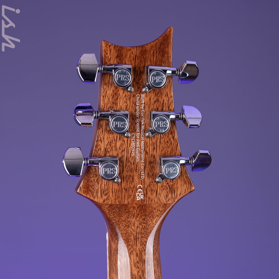 PRS SE Tonare T60 Acoustic-Electric Guitar *2025 Release!* – Ish