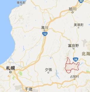 緋山酔恭「山水石美術館」 水石・美石を紹介 金山石・誉平(ポンピラ)石