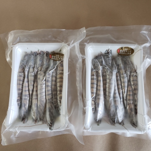 活き〆急速冷凍車えび 2kg(72～96尾)通常サイズ【熊本県産】|業務用