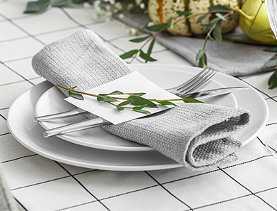 JALとっておきの逸品｜JALフリート記念チタンプレート（727-100）: JAL