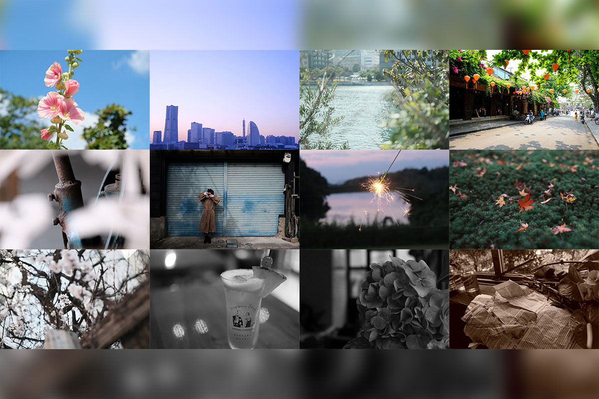 多彩な色表現が楽しめる！“富士フイルムの色”全20種類のフィルム