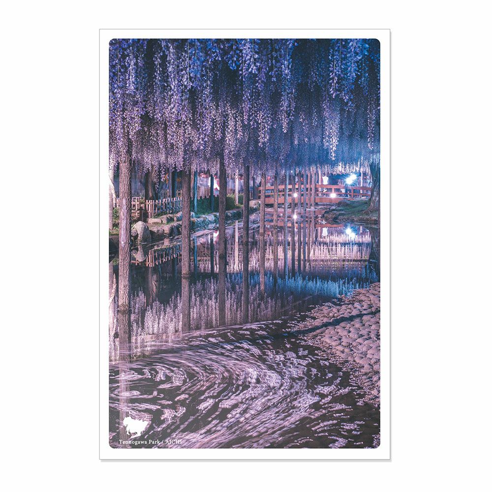 日本の絶景ポストカード ～春～ 天王川公園/愛知 | いろはショップ