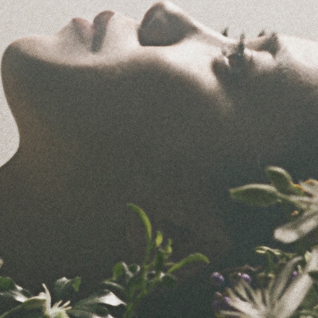 シンドローム - 鬼束ちひろのアルバム - Apple Music