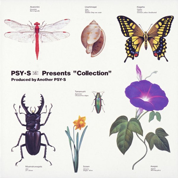 Collection - PSY・S[saiz]のアルバム - Apple Music
