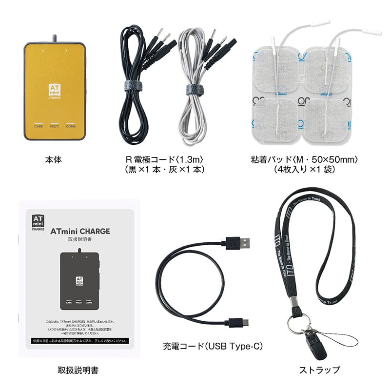 AT-mini II バッテリー充電器と電極付き Amazon | AT-mini personal