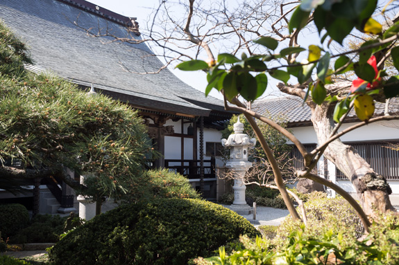 真言宗 智山派 – 威徳寺 | 千葉県銚子市 | 真言宗智山派
