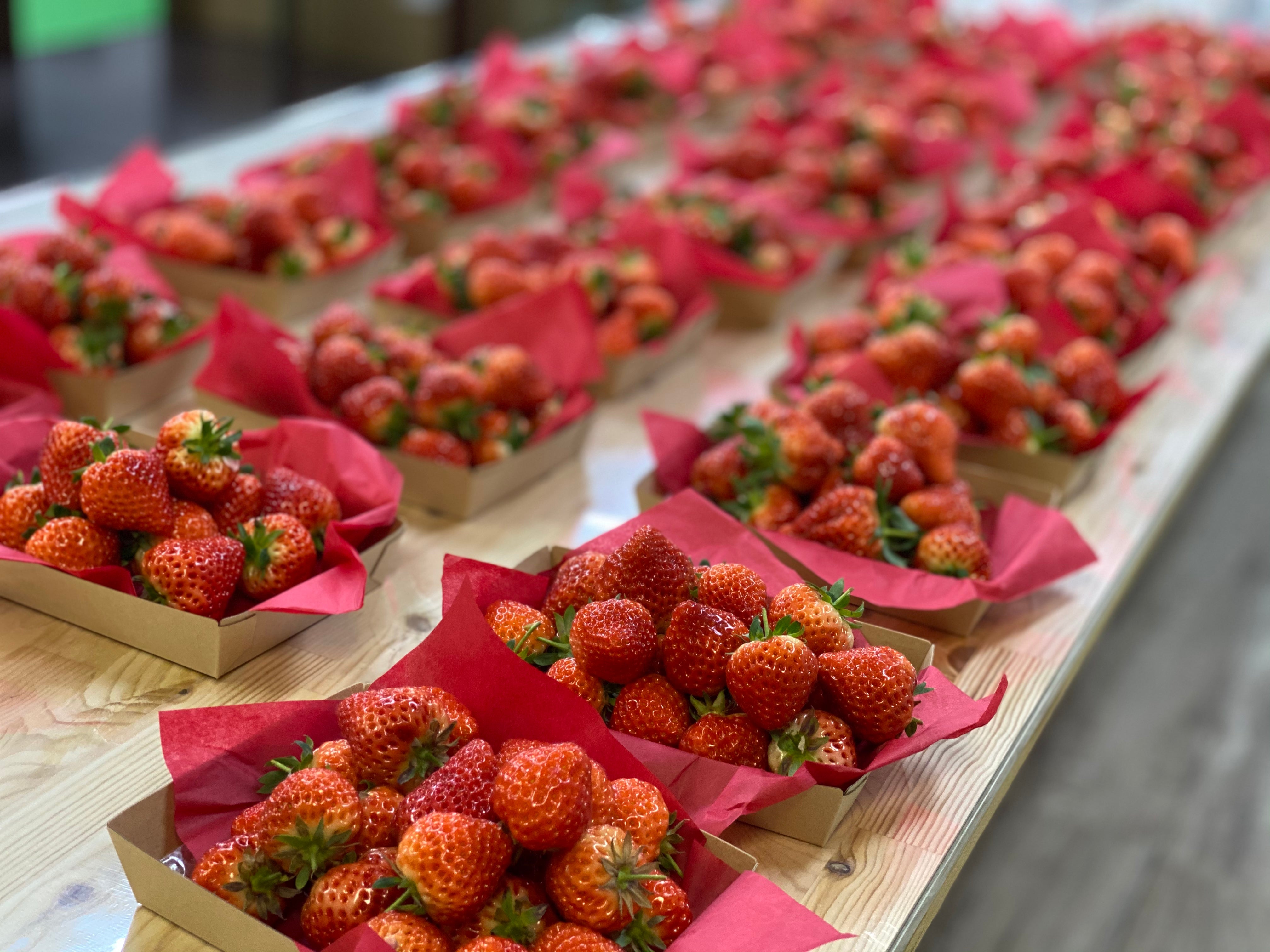 斉藤いちご園｜新潟県燕市 越後姫専門