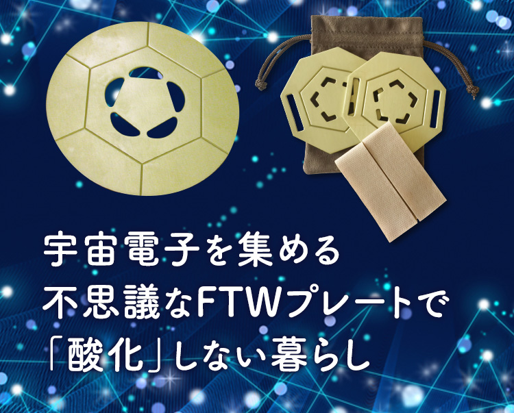 FTWプレート セラミックプレート【送料無料】 | いやしの村わくわく