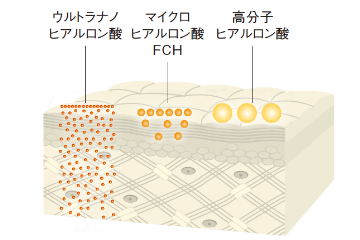 ARES ステム C クリーム プラス-自由が丘クリニックドクターズ