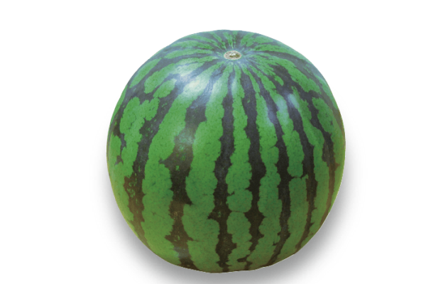 すいか - 【公式】JA高知県 ｜県産品の通販も