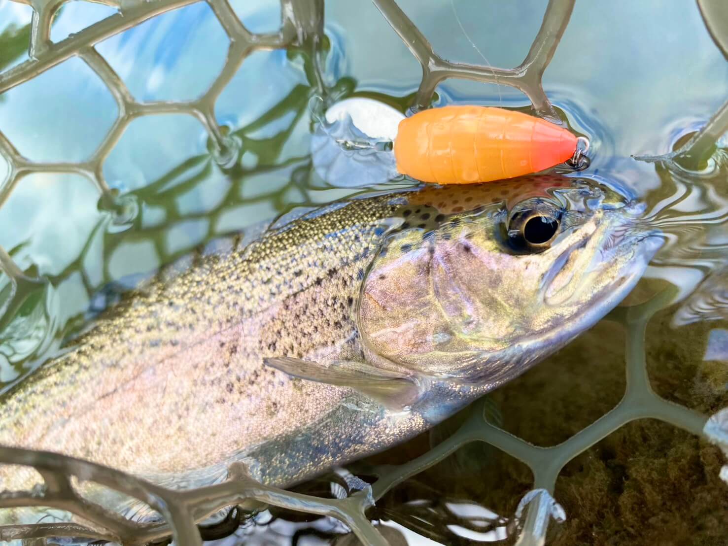 エリアトラウト新製品の使い方を実釣でご紹介！！！ | ジャクソン