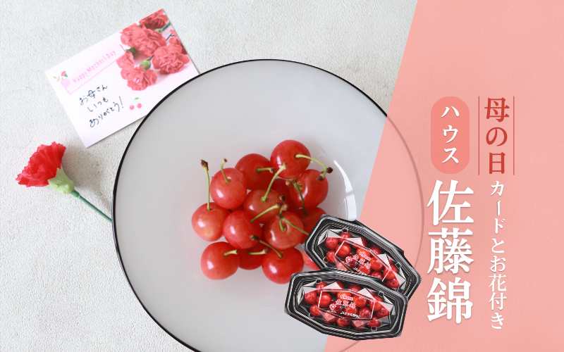 母の日ギフト】ハウス きららパック 佐藤錦 | 【JA公式】山形名産品を