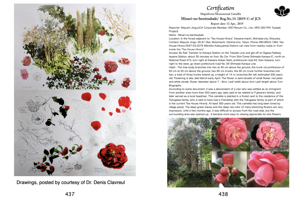 書籍・カレンダーなど | 日本ツバキ協会