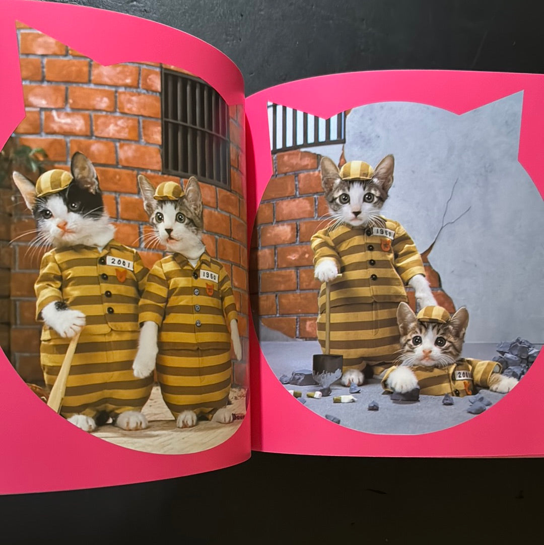 Rock'n' Roll CATS – JAPANESE AVANT-GARDE BOOKS
