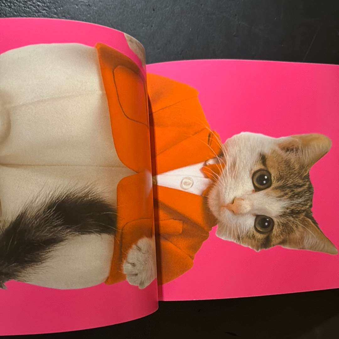 Rock'n' Roll CATS – JAPANESE AVANT-GARDE BOOKS