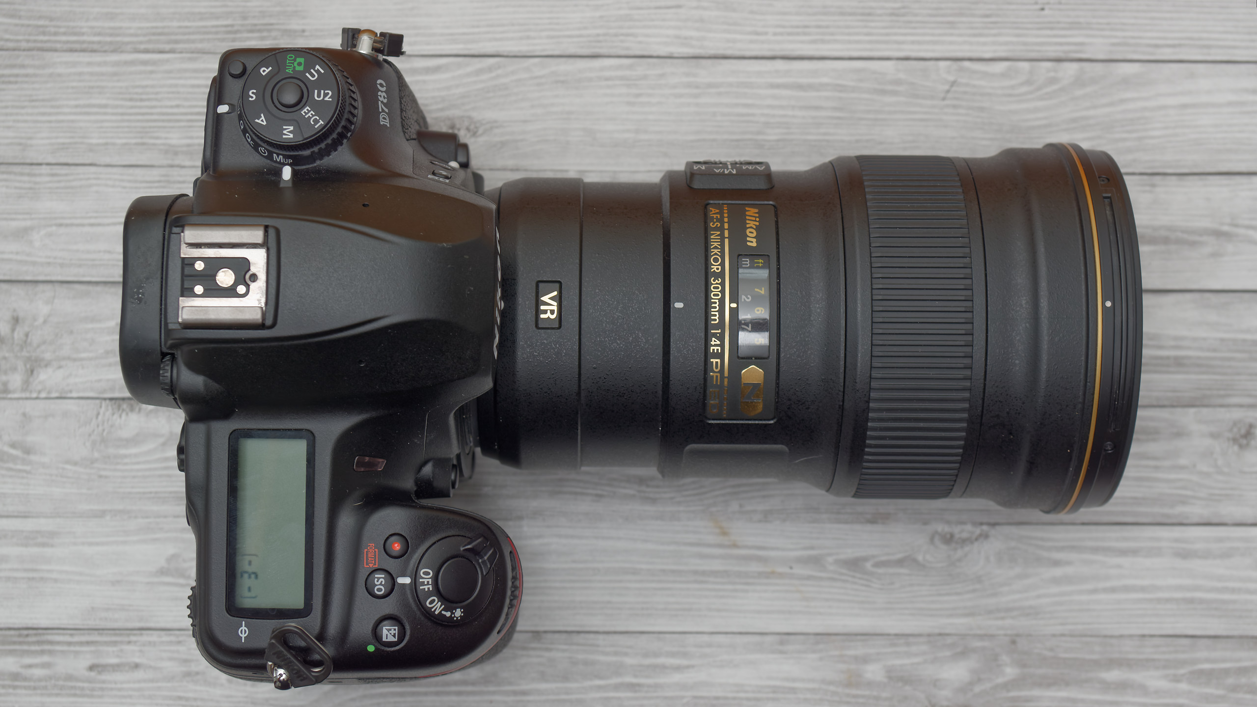 Nikon 300mm f/4E PF Lens Review: Lightweight and Lovable