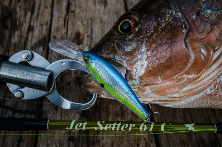 JetSlow×TULALA JetSetter 61C「冒険用品」