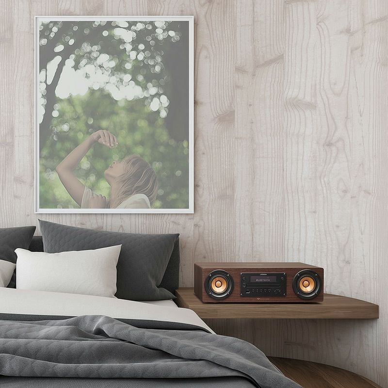 コンパクトコンポーネントシステム EX-D6 | JVCケンウッドストア