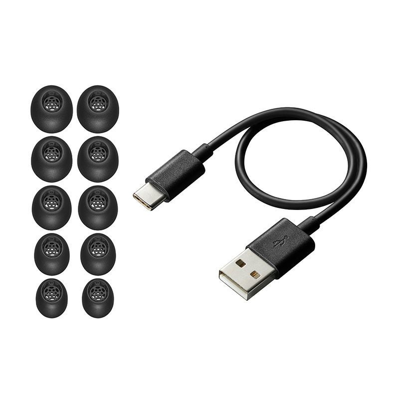 ワイヤレスイヤホン WOOD master | JVCケンウッドストア