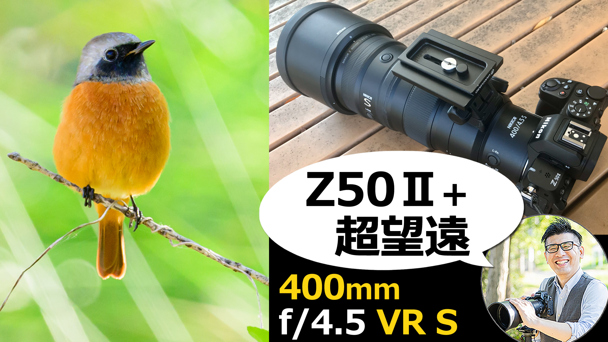 Nikon Z50II 野鳥撮影 【NIKKOR Z 400mm f/4.5 VR S】超望遠の単焦点