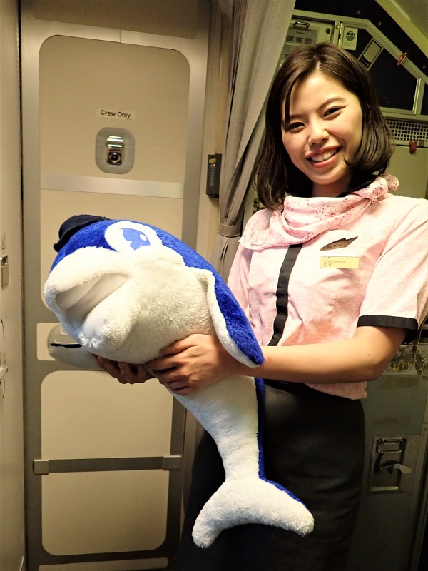 ANAのB737-500「スーパードルフィン」が引退 | ラジオ関西 AM558 FM91.1