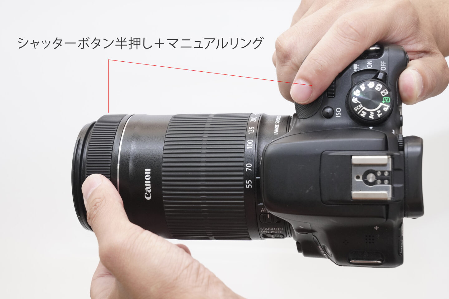高性能な望遠レンズ！Canon EF-S55-250mm F4-5.6 IS STM 実写レビュー