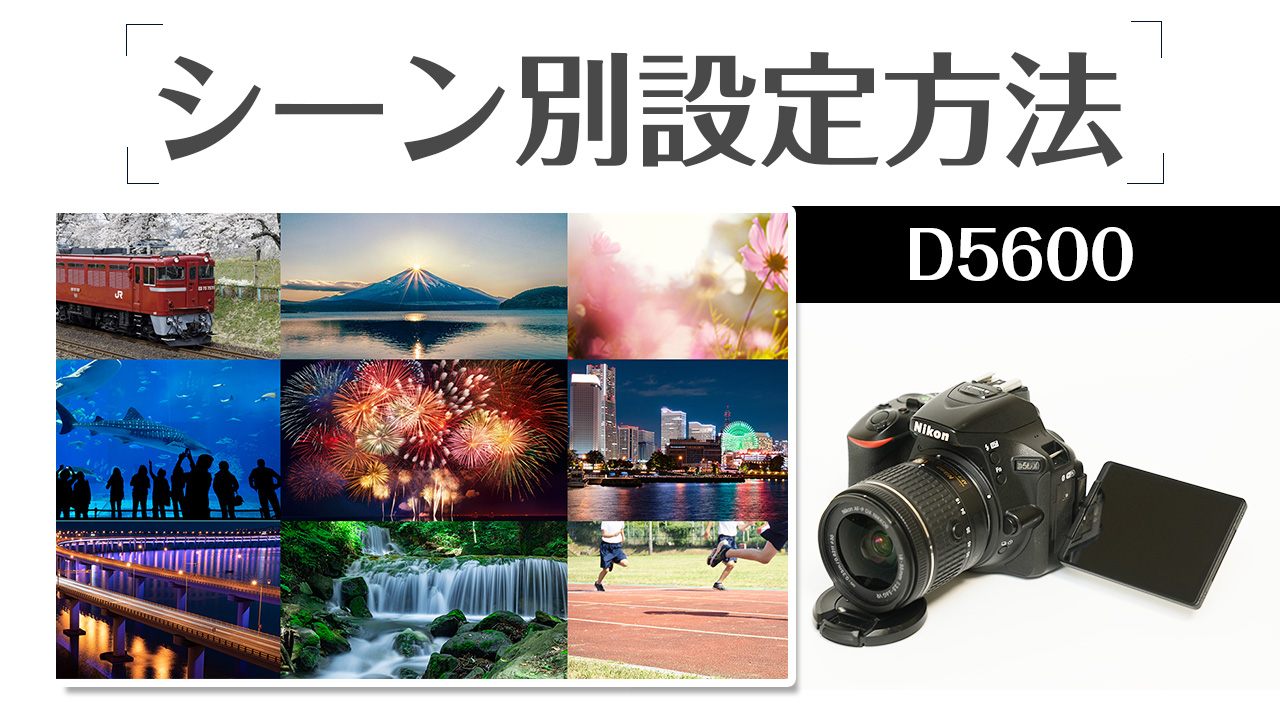 Nikon D5600 初心者でもブレずに夜景を撮影する方法を徹底解説
