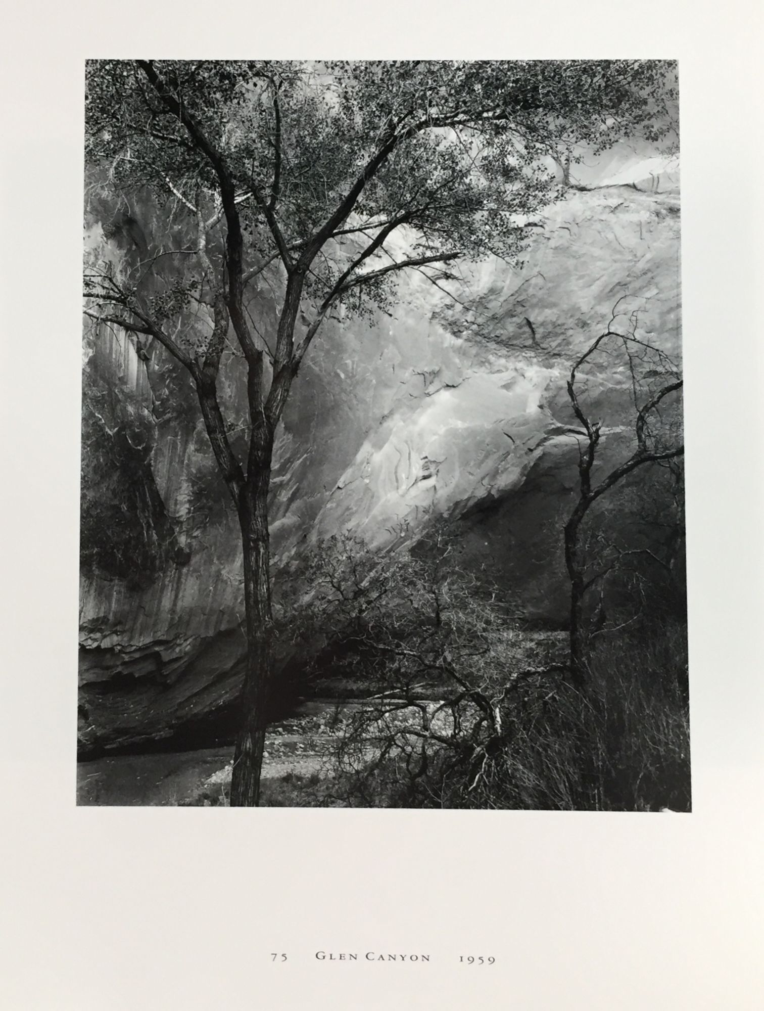 Brett Weston: Master Photographer | Editing, Design, Brett Weston