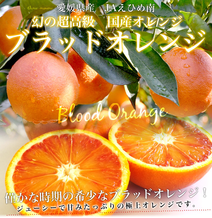 愛媛県より産地直送 JAえひめ南 ブラッドオレンジ 優品 5キロ (30玉