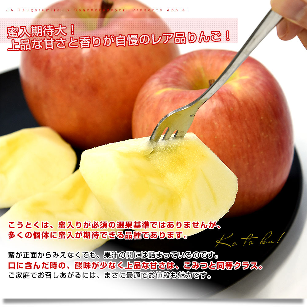 青森産 JA津軽みらい こうとく（高徳） 約1.8キロ (8玉から9玉) 送料