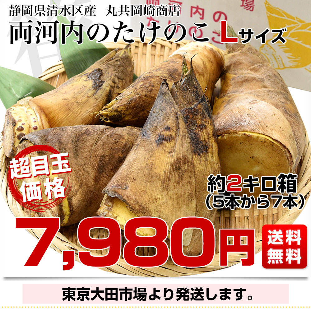 静岡県清水区産 丸共岡崎商店 両河内のたけのこ 約2キロ Lサイズ(5本